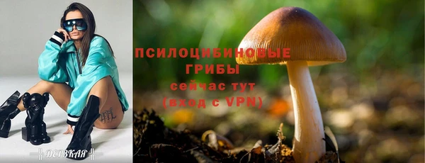МДМА Гусев