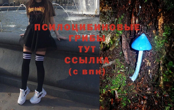 гашик Гусиноозёрск