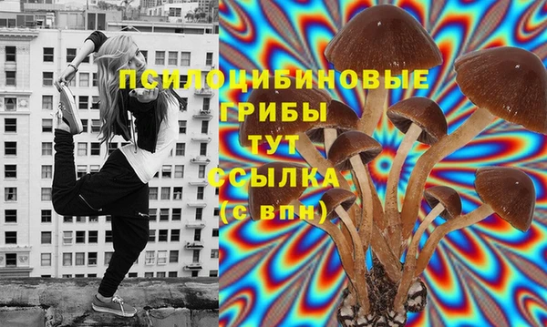спиды Гусь-Хрустальный