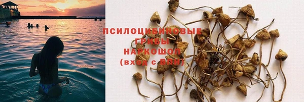 спиды Гусь-Хрустальный