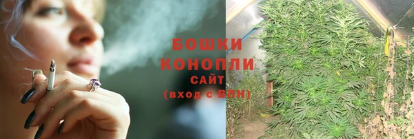 гашик Гусиноозёрск